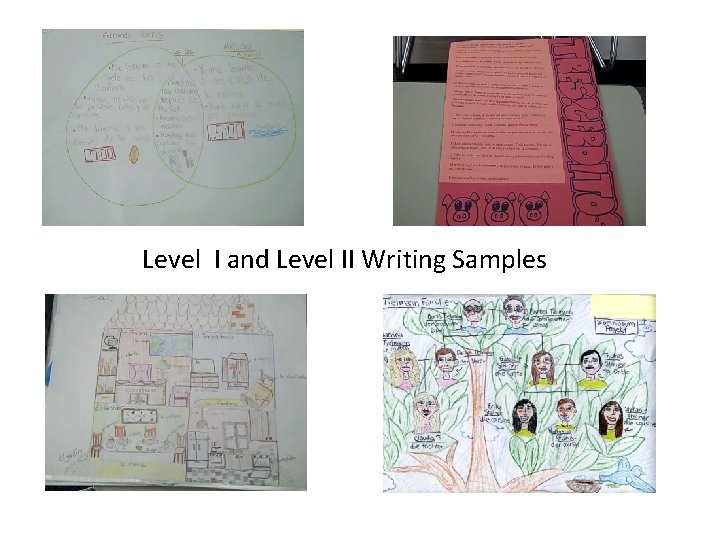 Level I and Level II Writing Samples 