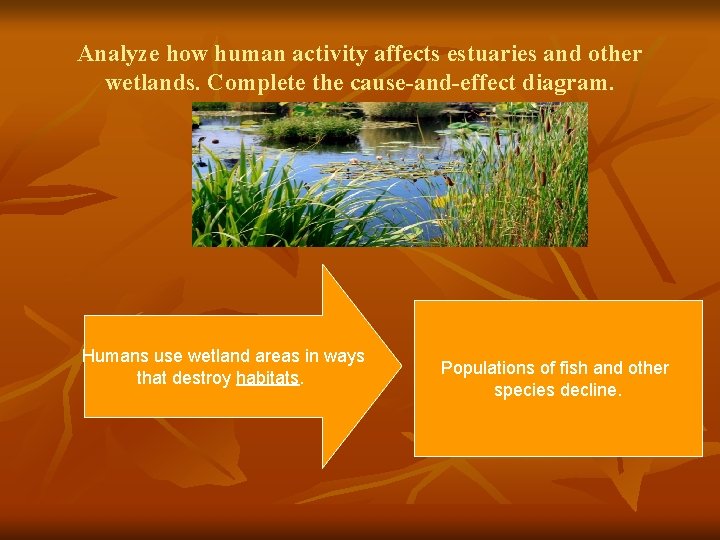 Analyze how human activity affects estuaries and other wetlands. Complete the cause-and-effect diagram. Humans