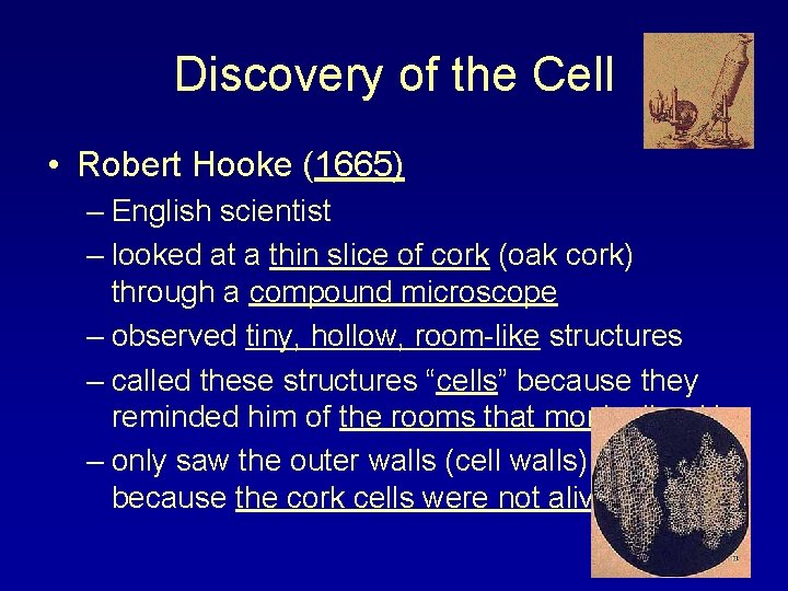Discovery of the Cell • Robert Hooke (1665) – English scientist – looked at