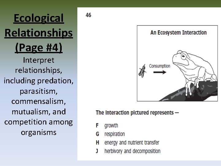 Ecological Relationships (Page #4) Interpret relationships, including predation, parasitism, commensalism, mutualism, and competition among