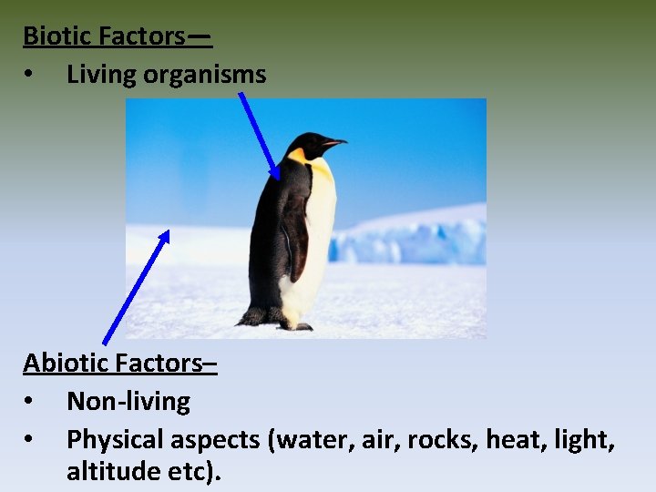 Biotic Factors— • Living organisms Abiotic Factors– • Non-living • Physical aspects (water, air,