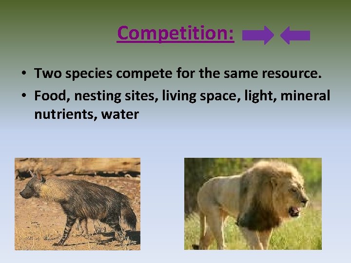 Competition: • Two species compete for the same resource. • Food, nesting sites, living