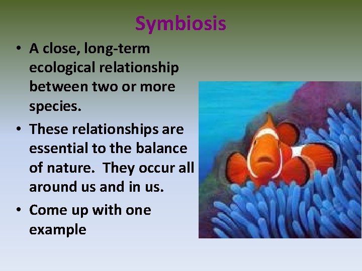 Symbiosis • A close, long-term ecological relationship between two or more species. • These