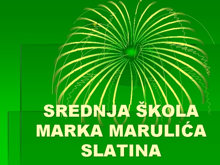 SREDNJA ŠKOLA MARKA MARULIĆA SLATINA 