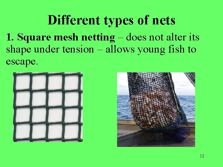 Different types of nets 1. Square mesh netting – does not alter its shape