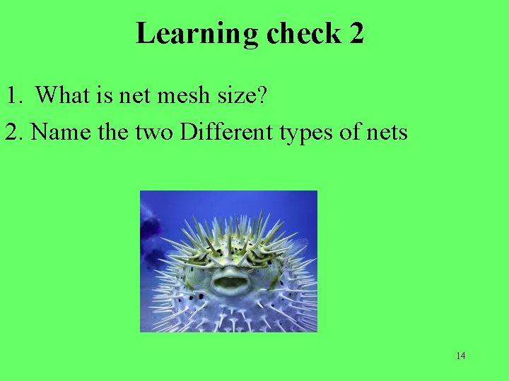 Learning check 2 1. What is net mesh size? 2. Name the two Different