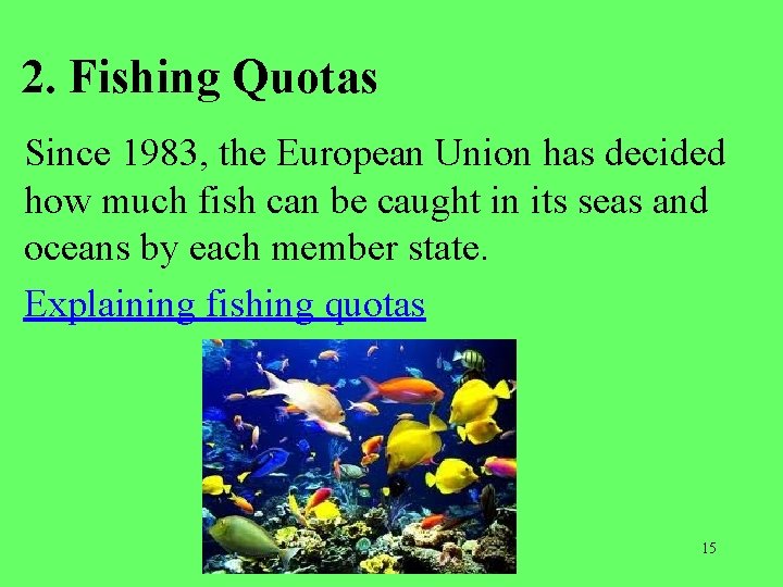 2. Fishing Quotas Since 1983, the European Union has decided how much fish can