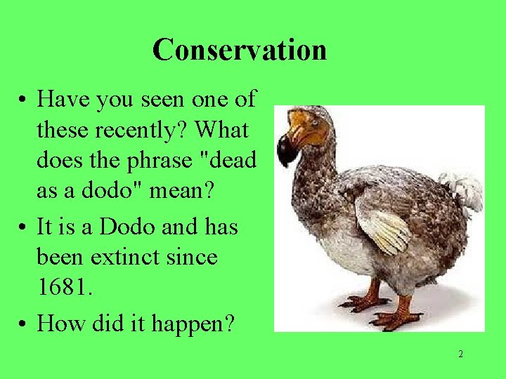 Conservation • Have you seen one of these recently? What does the phrase "dead