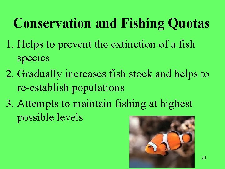 Conservation and Fishing Quotas 1. Helps to prevent the extinction of a fish species