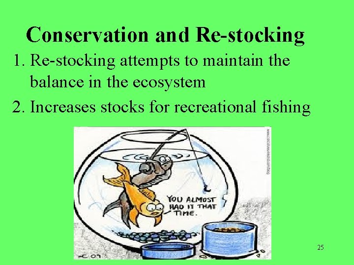 Conservation and Re-stocking 1. Re-stocking attempts to maintain the balance in the ecosystem 2.