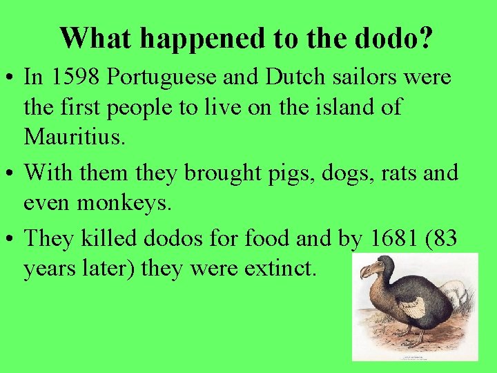 What happened to the dodo? • In 1598 Portuguese and Dutch sailors were the