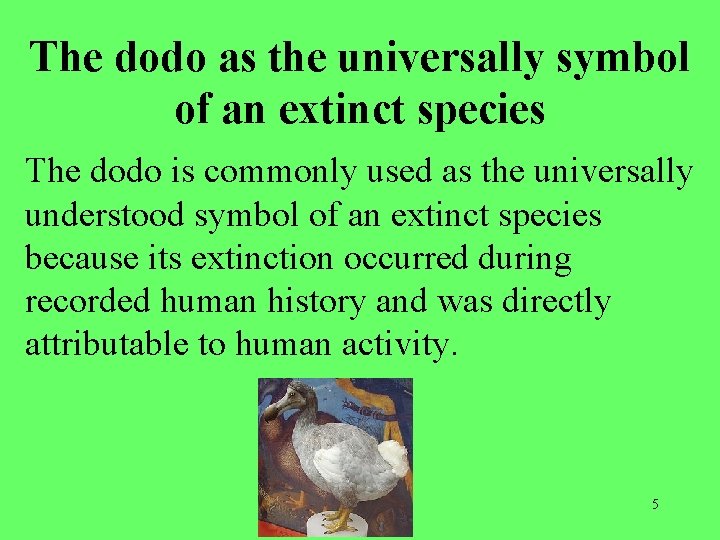 The dodo as the universally symbol of an extinct species The dodo is commonly