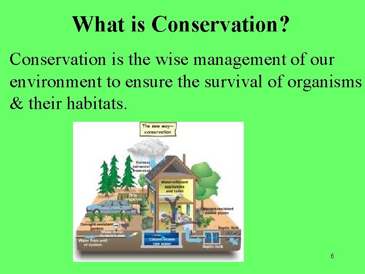 What is Conservation? Conservation is the wise management of our environment to ensure the