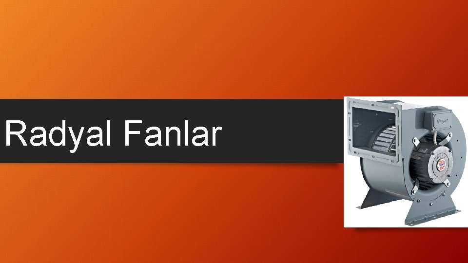 Radyal Fanlar 