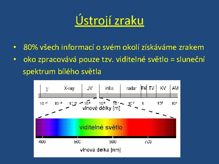 Ústrojí zraku • 80% všech informací o svém okolí získáváme zrakem • oko zpracovává