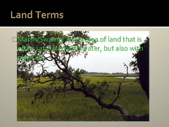 Land Terms �Marsh/Swamp: A low area of land that is often saturated with water,