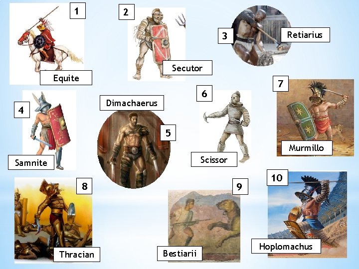 1 2 Retiarius 3 Secutor Equite 6 Dimachaerus 4 7 5 Murmillo Scissor Samnite