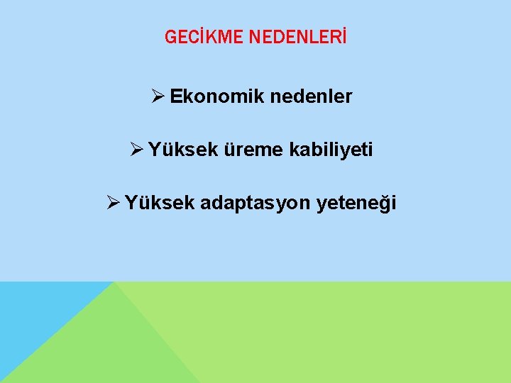 GECİKME NEDENLERİ Ø Ekonomik nedenler Ø Yüksek üreme kabiliyeti Ø Yüksek adaptasyon yeteneği 