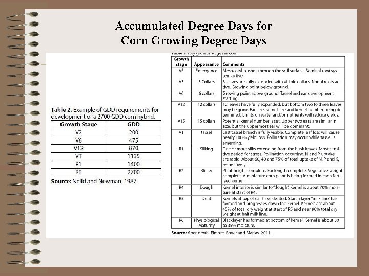 Accumulated Degree Days for Corn Growing Degree Days 
