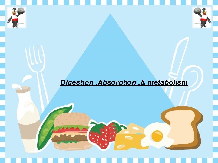 Digestion , Absorption , & metabolism 