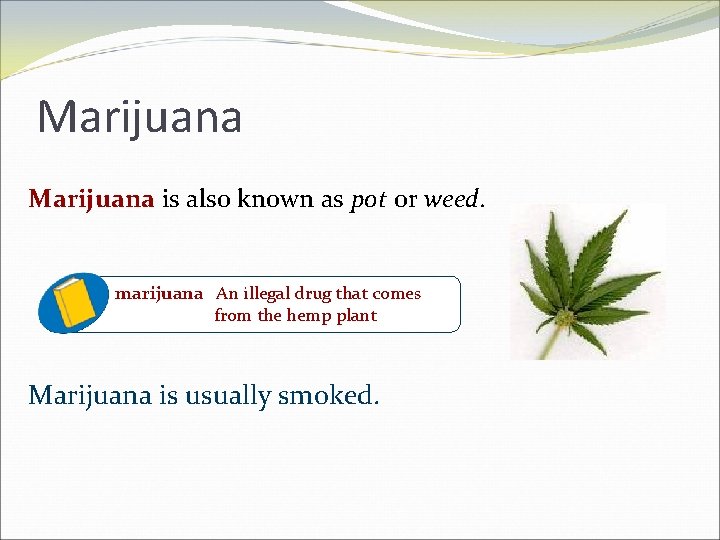 Marijuana is also known as pot or weed. marijuana An illegal drug that comes