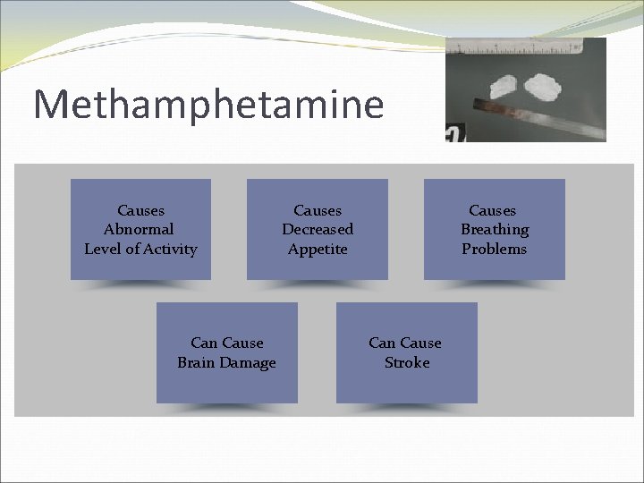 Methamphetamine Causes Abnormal Level of Activity Can Cause Brain Damage Causes Decreased Appetite Causes