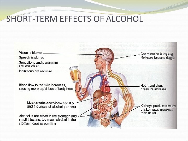 SHORT-TERM EFFECTS OF ALCOHOL 