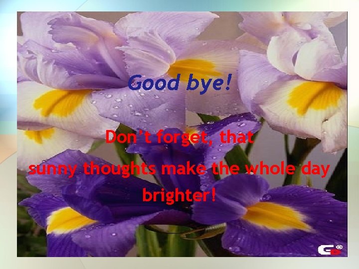 Good bye! Don’t forget, that sunny thoughts make the whole day brighter! Good bye! Don’t forget, that sunny thoughts make the whole day brighter!