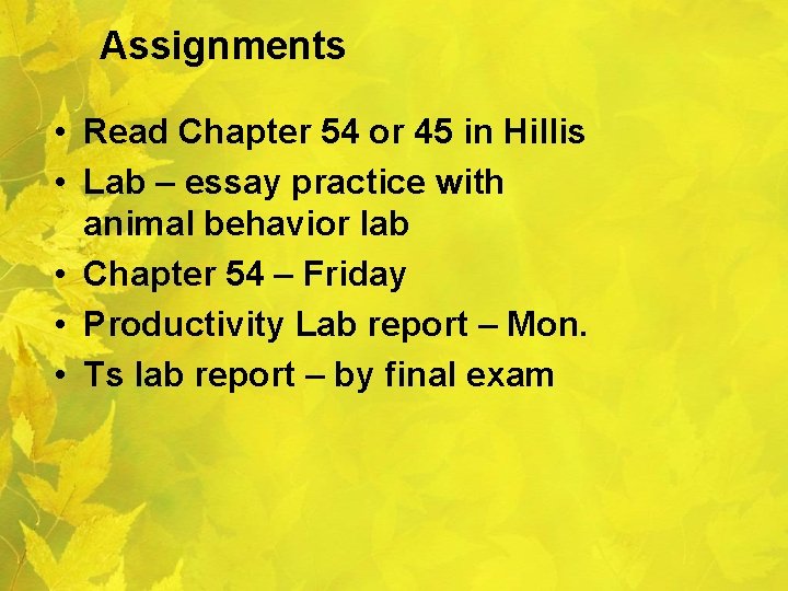 Assignments • Read Chapter 54 or 45 in Hillis • Lab – essay practice