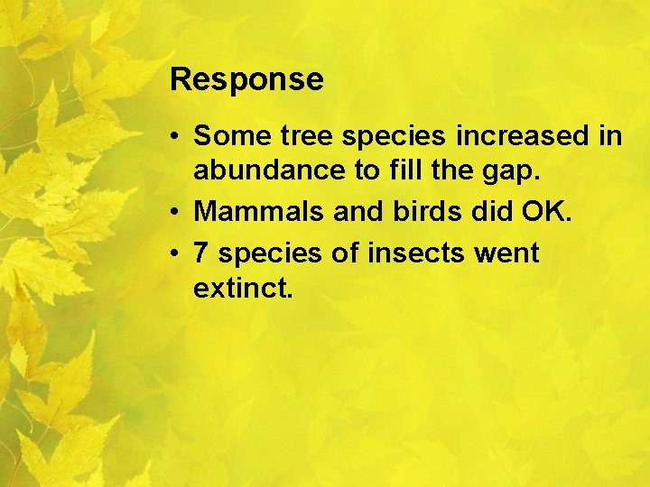 Response • Some tree species increased in abundance to fill the gap. • Mammals