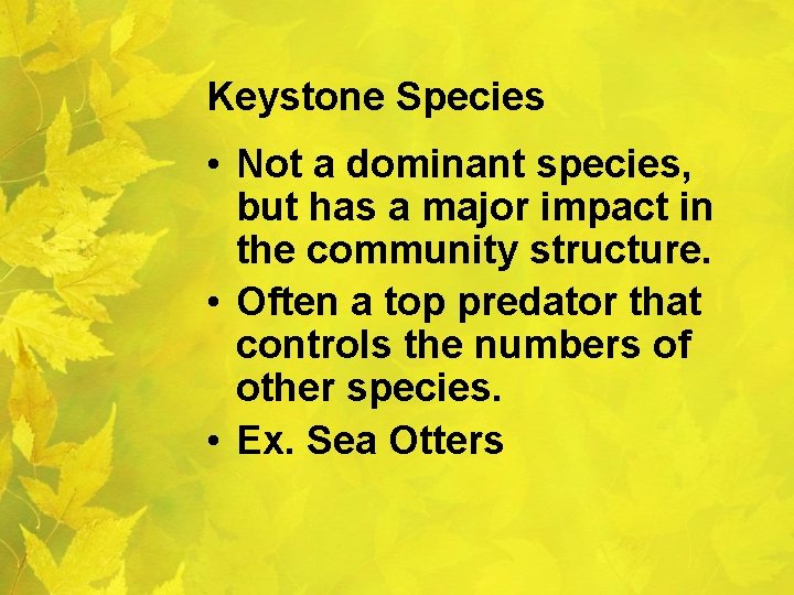 Keystone Species • Not a dominant species, but has a major impact in the