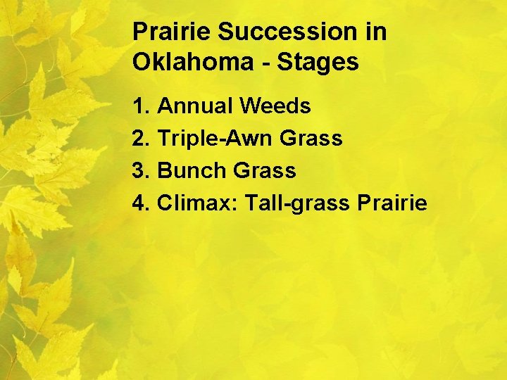 Prairie Succession in Oklahoma - Stages 1. Annual Weeds 2. Triple-Awn Grass 3. Bunch