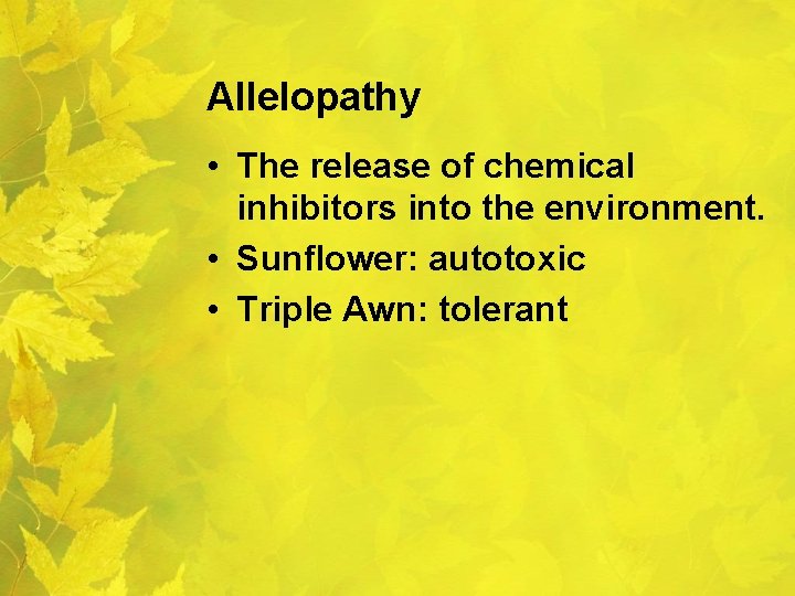 Allelopathy • The release of chemical inhibitors into the environment. • Sunflower: autotoxic •