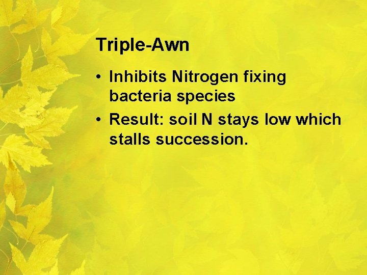 Triple-Awn • Inhibits Nitrogen fixing bacteria species • Result: soil N stays low which
