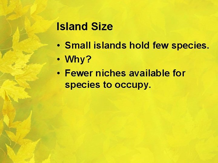 Island Size • Small islands hold few species. • Why? • Fewer niches available