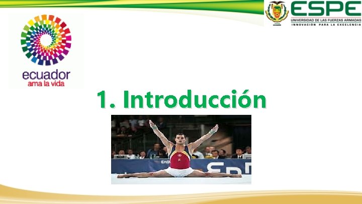 1. Introducción 