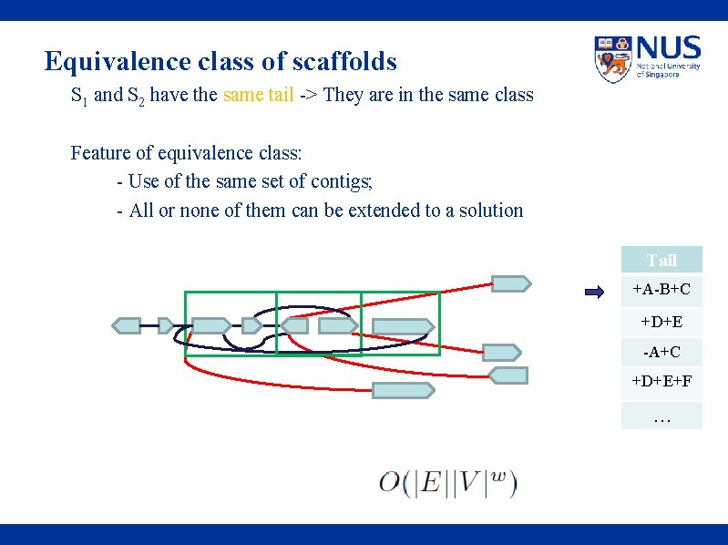 Equivalence class of scaffolds S 1 and S 2 have the same tail ->