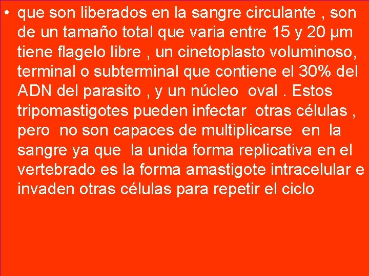  • que son liberados en la sangre circulante , son de un tamaño