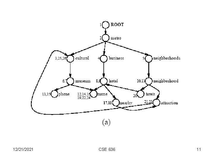 12/21/2021 CSE 636 11 