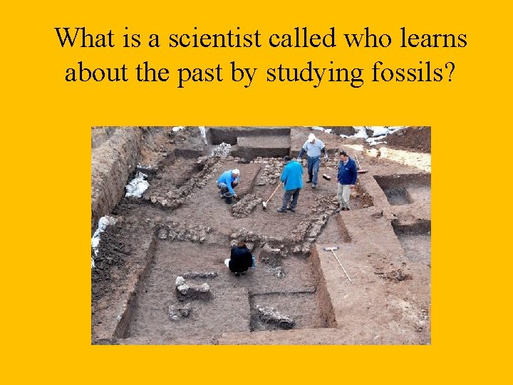 What is a scientist called who learns about the past by studying fossils? 