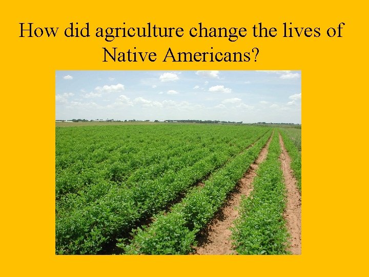 How did agriculture change the lives of Native Americans? 