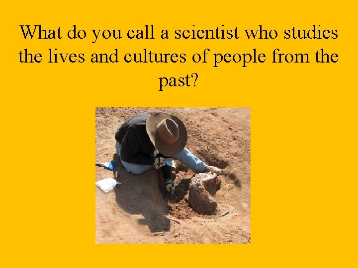 What do you call a scientist who studies the lives and cultures of people