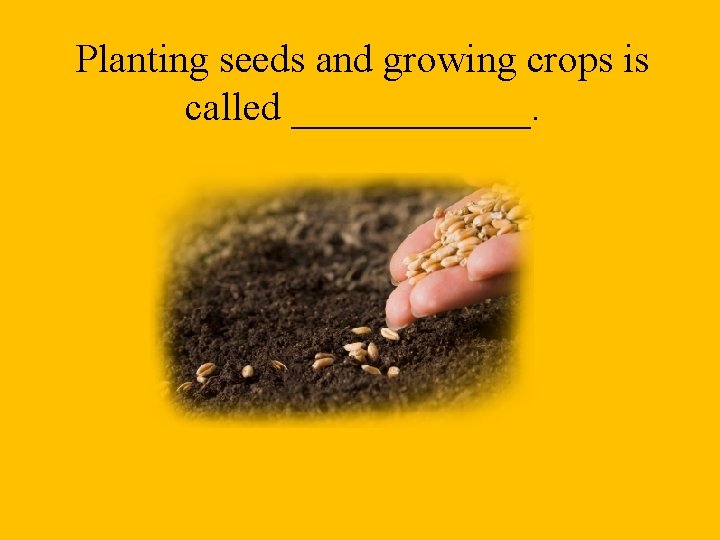 Planting seeds and growing crops is called ______. 