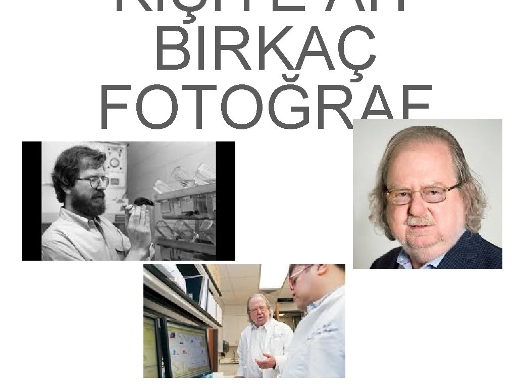 KIŞIYE AIT BIRKAÇ FOTOĞRAF 