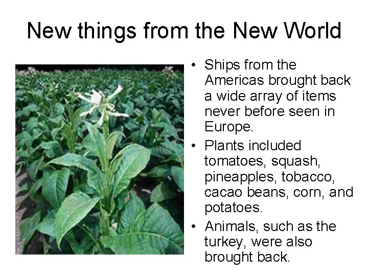 New things from the New World • Ships from the Americas brought back a