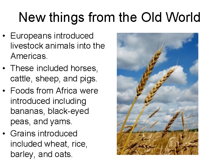 New things from the Old World • Europeans introduced livestock animals into the Americas.