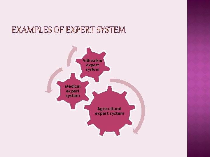 Vithoulkas expert system Medical expert system Agricultural expert system 