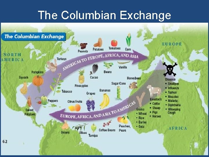 The Columbian Exchange • An exchange of living things between the Old World (Europe,