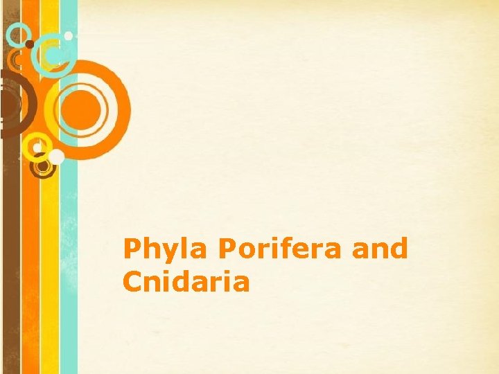 Phyla Porifera and Cnidaria Free Powerpoint Templates Page 1 