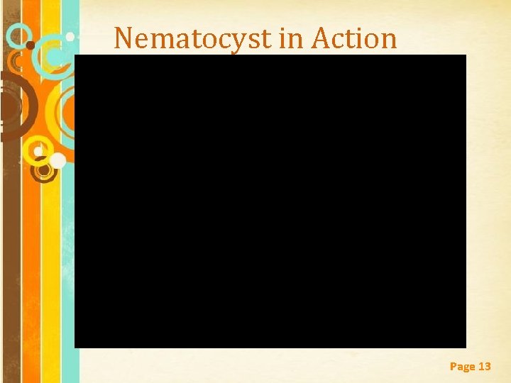 Nematocyst in Action Free Powerpoint Templates Page 13 